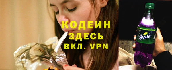 ECSTASY Белокуриха