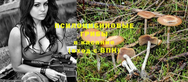 ECSTASY Белокуриха