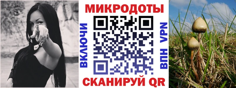 где найти наркотики  Малая Вишера  Галлюциногенные грибы мицелий 